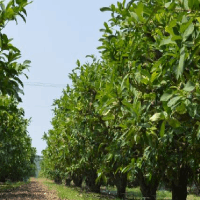 雙電源自動(dòng)切換開(kāi)關(guān)的功能特點(diǎn)、分類(lèi)及選擇